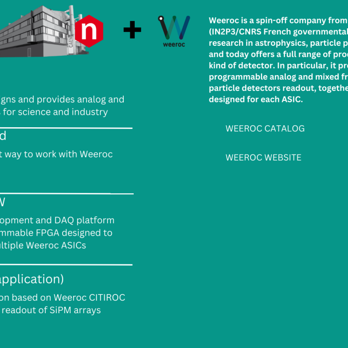 Blue-Illustrated-Birds-and-Sky-Desktop-Wallpaper